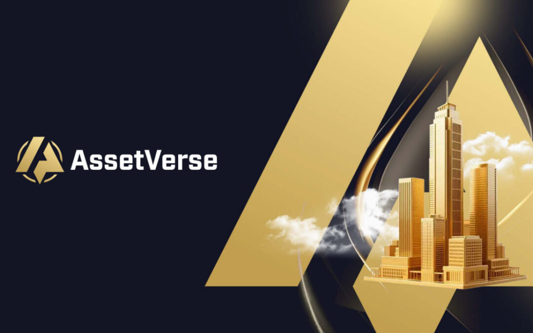 AssetVerse Avatar