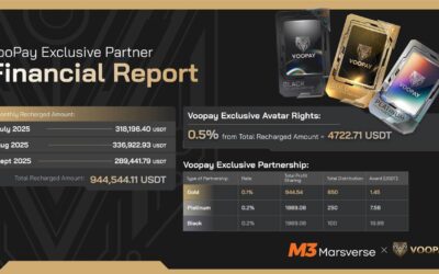 2026-07-02 VooPay Exclusiv Partner